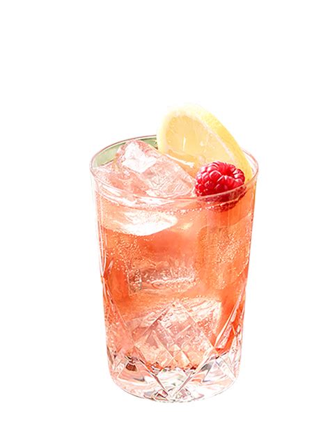 Sloe Gin & Tonic | The Blend - Suntory Global Spirits