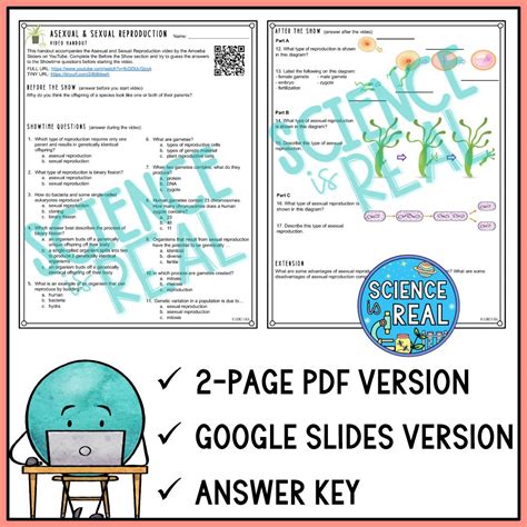 Asexual And Sexual Reproduction Amoeba Sisters Video Handout Science Is Real Education