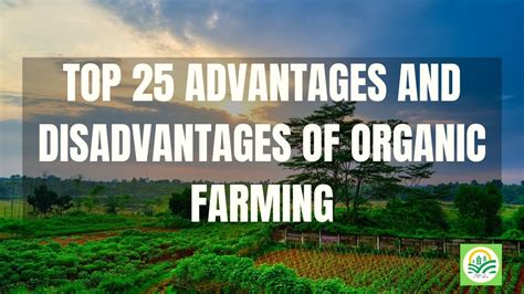 TOP 25 ADVANTAGES AND DISADVANTAGES OF ORGANIC FARMING BENEFITS OF