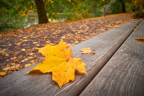 Meteorologii Anun Pentru S Pt M Na Viitoare N Sibiu Temperaturi