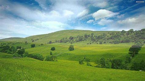 Green Fields Of France YouTube