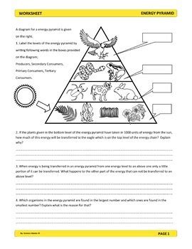 Energy Pyramid Worksheet By Science Master Tpt