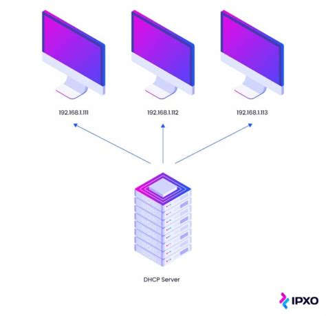 Ddi Solution A Comprehensive Guide Ipxo