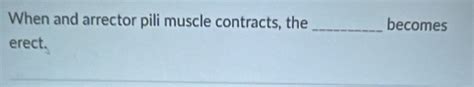 Solved When And Arrector Pili Muscle Contracts The Becomes Erect Biology