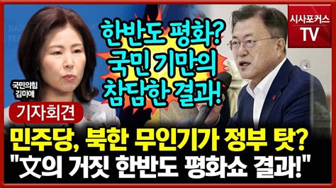 북한 무인기 정부 탓으로 돌리는 민주당에 김미애 文의 종전선언 집착의 결과물 Youtube