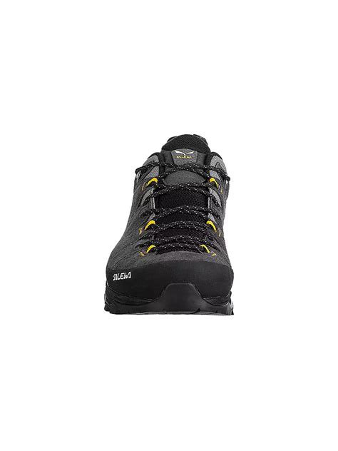 Salewa Herren Wanderschuhe Alp Trainer Gtx Grau