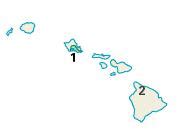 2000 United States House of Representatives elections in Hawaii - Wikipedia