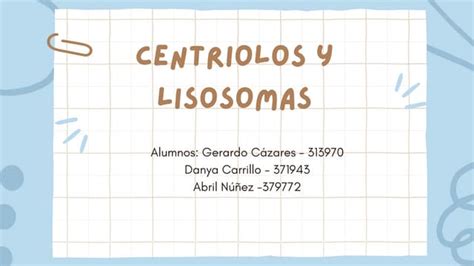 Centriolos Y Lisosomas Caracteristicas Y Funcion Ppt