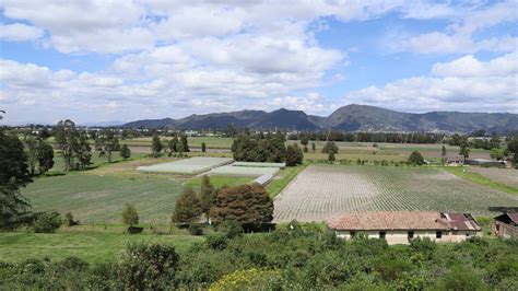 Así va la preservación de la Reserva Thomas van der Hammen El Nuevo Siglo