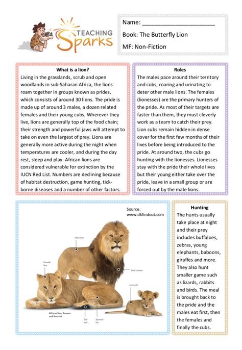 The Butterfly Lion | Literacy Resources & Activities | KS2 | Year 3 ...