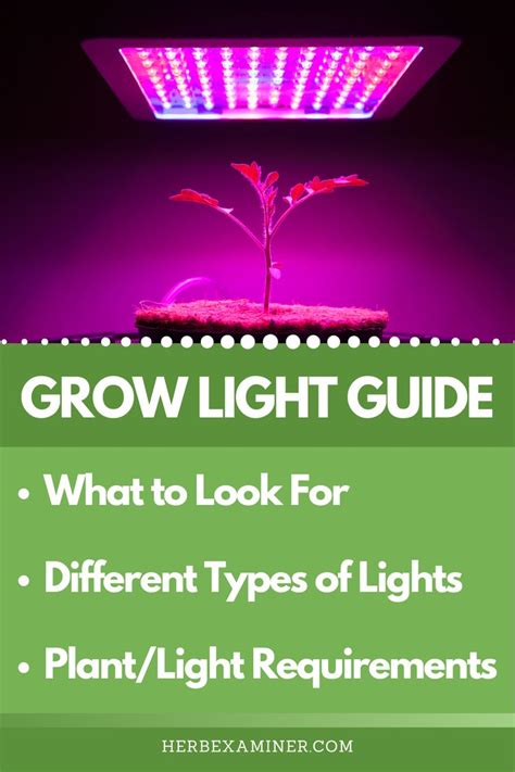 Best Grow Lights For Herbs Grow Light Guide Best Grow Lights Grow Lights Grow Lights For