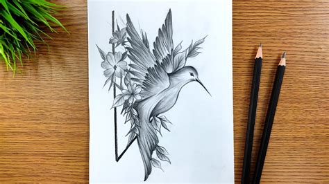 Beautiful Pencil Sketches Of Birds