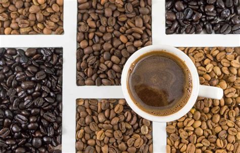 10 Types of Coffee Beans You Might be Interested in!