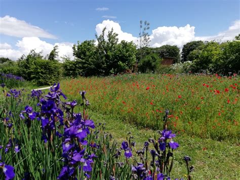 Les Espaces Verts Grand Paris Sud