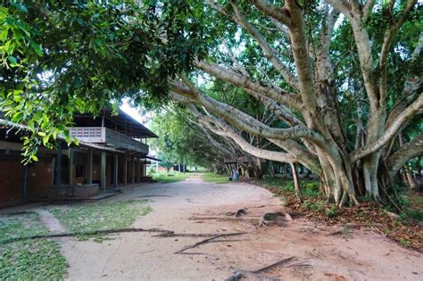 Thailand Vipassana Meditation Retreat: What To Expect