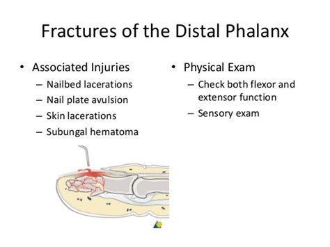 Distal phalanx fracture