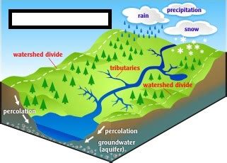 Watershed Flashcards Quizlet