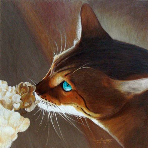 Pretty cat - Mistyflower Photo (13684421) - Fanpop
