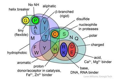 Acids And Bases Venn Diagram