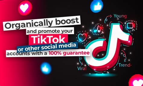 Organically Grow And Promote Your Tiktok Or Social Media By Beneltavori Fiverr