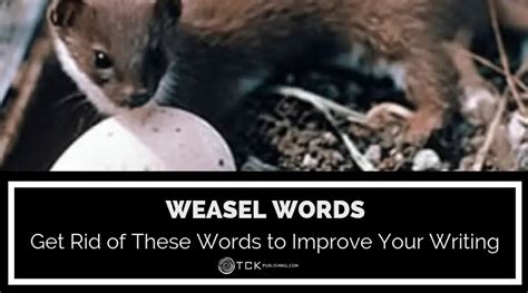 Weasel Words Advertising Examples