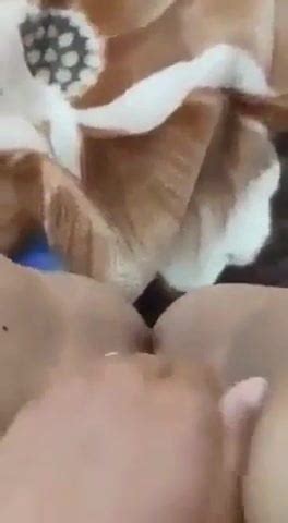 9a7ba Tounsia 9alt Lsa7bha Nadhftou 3la 5atrek Porn 3d XHamster