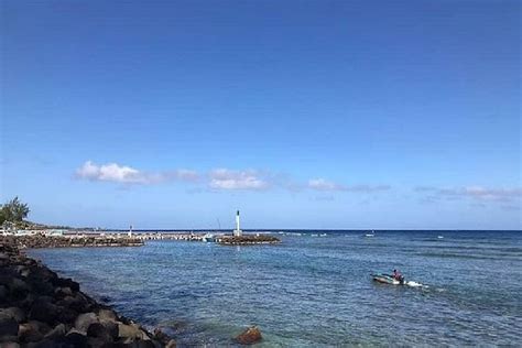 Requins Reprise Du Surf Encadr E Saint Leu D Ici La Fin De L Ann E