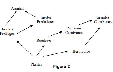 Questão A Figura 2 mostra de maneira simplificada a cadeia alimentar