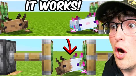 Testing Viral Minecraft Hacks That Work 100 Youtube