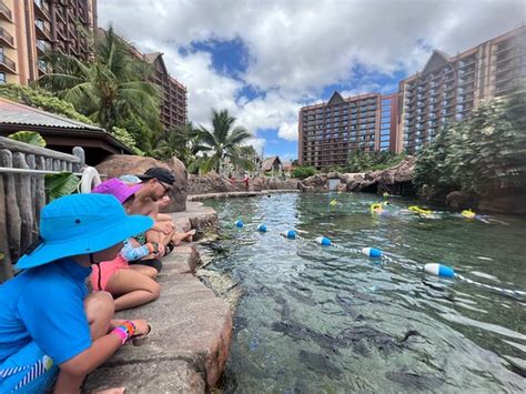 Aulani Disney Vacation Club Villas Kapolei Hi Ulasan