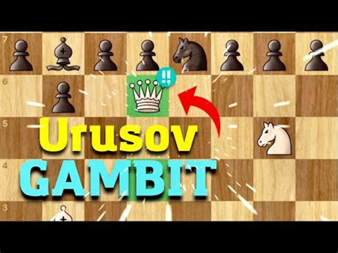 Urusov Gambit Brilliant Queen Sacrifice Chess YouTube