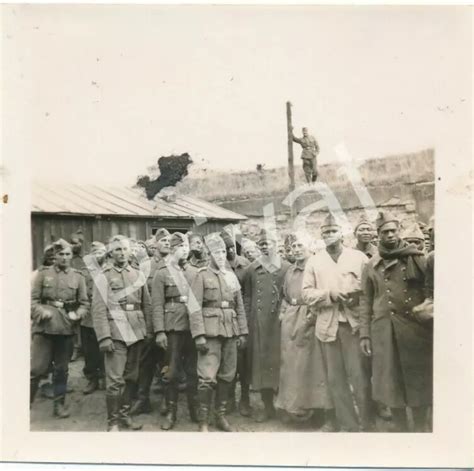 Foto Wk Ii Wehrmacht Soldaten Gefangene Afrikaner Kolonie Pow F Eur