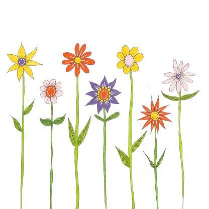 Flowers With Long Stems And Leaves Vector Art Illustration Flower