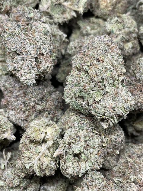 Pink Rockstar B C Star Immaculate Indica Leaning Hybrid Thc Brand