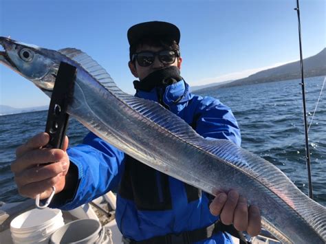 【釣行記】海拓丸！いつでも釣れてます！錦江湾湾奥でタチウオ釣り！鹿児島姶良店 かめや釣具