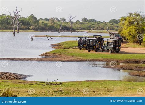 UDA WALAWE, SRI LANKA - JULY 14, 2016: Tourists in Safari Jeeps in Uda ...