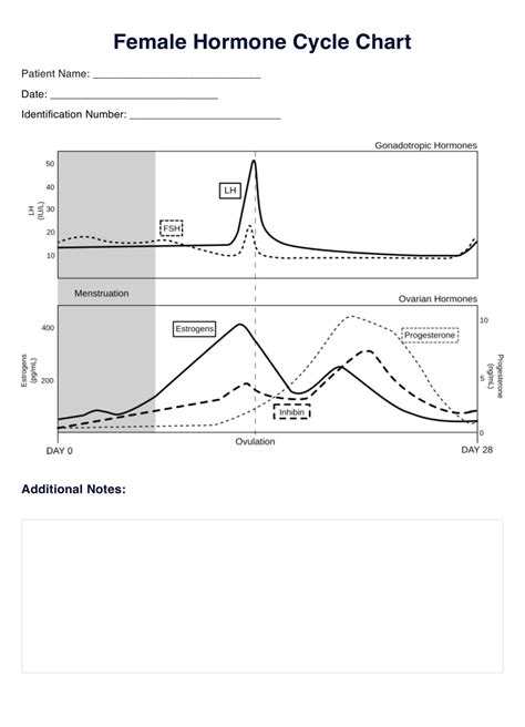 Male Monthly Hormone Cycle Chart & Example | Free PDF Download