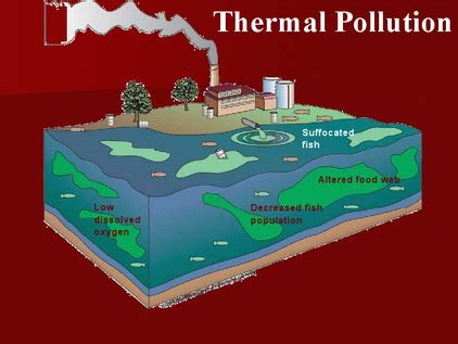 Thermal Pollution - Thermal Pollution