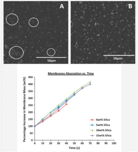 Mesoporous Silica Applications - Glantreo Innovative Scientific Solutions