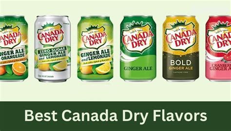 15 Best Canada Dry Flavors of 2025 [Your Thirst's New BFFs]