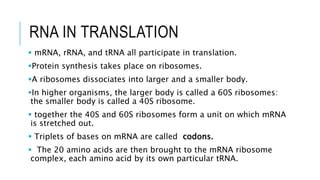 DNA and RNA types and functions | PPT