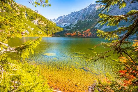 Premium Photo Hiking Popradske Lake Very Popular Hiking Destination