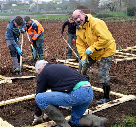 Photos Réussite de la première phase de plantation de la micro forêt à