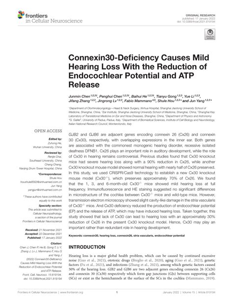 PDF Connexin30 Deficiency Causes Mild Hearing Loss With The Reduction