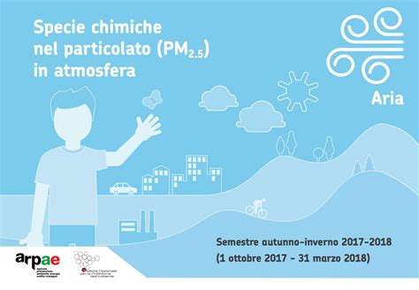 Da Che Cosè Composto Il Particolato Atmosferico Snpa Sistema