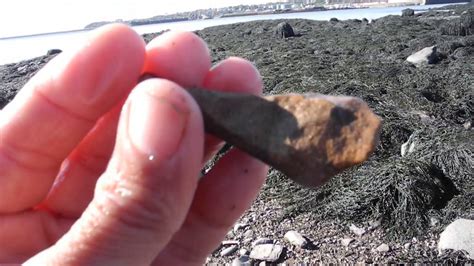 Fossils Tin Can Beach Saint John NB Oct 15 2018 YouTube