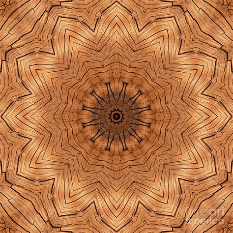 Wood Kaleidoscope Ll Photograph By Ludek Sagi Lukac Fine Art America