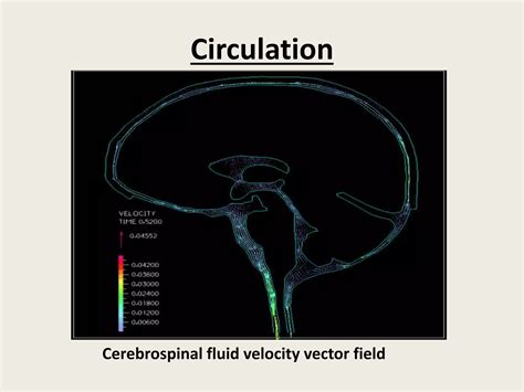 Cerebrospinal Fluid Ppt