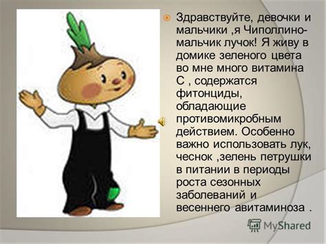 Чиполлино герои мультика: Персонажи | Чиполлино