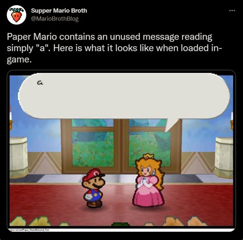 A Paper Mario Know Your Meme